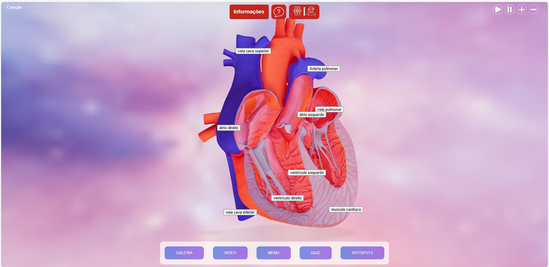 Módulo 3D - Modelos educacionais